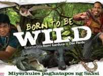 Born To Be Wild October 20 2024